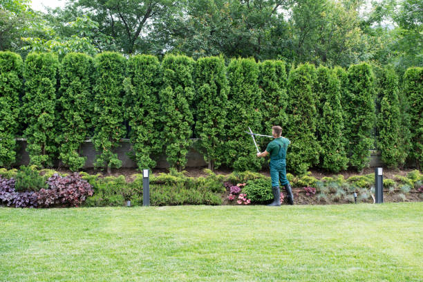 Best Tree Planting Services  in Bell Acres, PA